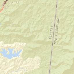 Reesetown Tennessee Street Map