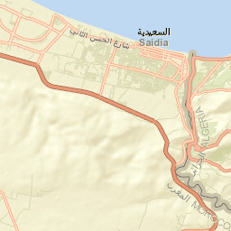 Saidia Street Map