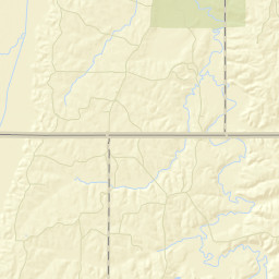 Essary Springs Tennessee Street Map