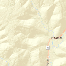 Princeton Alabama Street Map