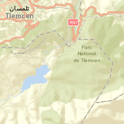 Tlemcen Street Map
