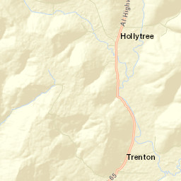 Little Nashville Alabama Street Map