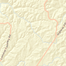 Newsome Springs Alabama Street Map
