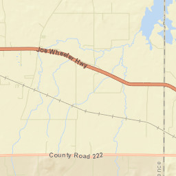 Reynolds Alabama Street Map