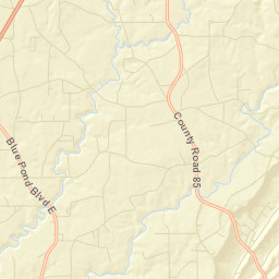 Mahan Crossroads Alabama Street Map