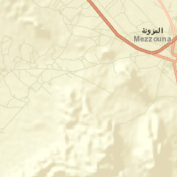Mezzouna Street Map