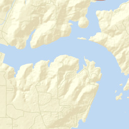 Manchester Alabama Street Map