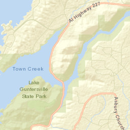 Poplar Springs Alabama Street Map