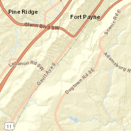 Douglas Alabama Street Map