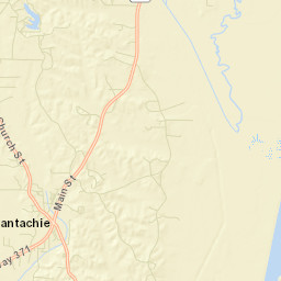Mantachie Street Map