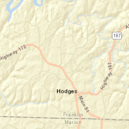 Hodges Alabama Street Map