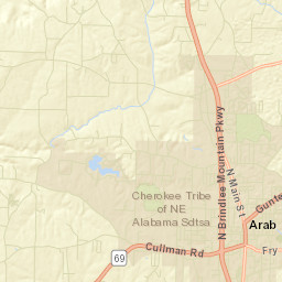 Ruth Alabama Street Map