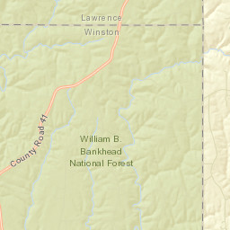 New Georgia Alabama Street Map
