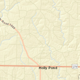 Holly Pond Alabama Street Map