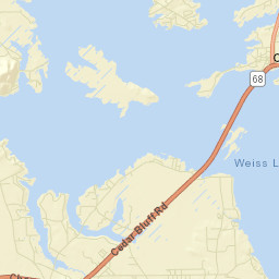 Pathkiller Cove Alabama Street Map