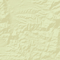 Paxton Place Arizona Street Map