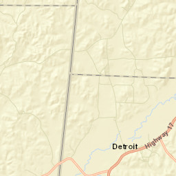 Detroit Alabama Street Map