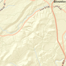 Fowler Spring Alabama Street Map