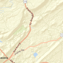 Oneonta Alabama Street Map