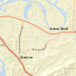Glencoe Alabama Street Map