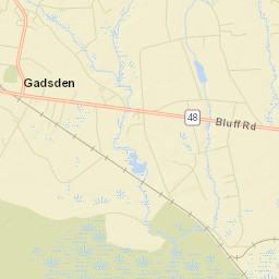 Gadsden Street Map