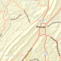 Fitzgerald Estates Alabama Street Map