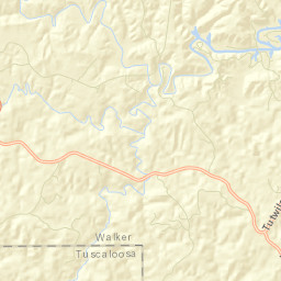 Tutwiler Alabama Street Map
