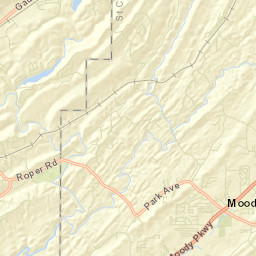 Saddlewood Alabama Street Map