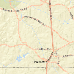 Palmetto Street Map