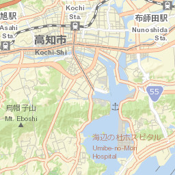 Kōchi Street Map