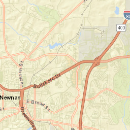 Newnan Street Map