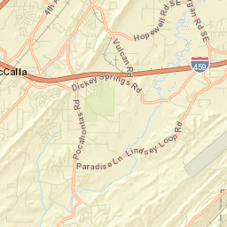 Loveless Park Alabama Street Map