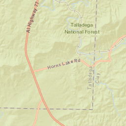 Chambers Springs Alabama Street Map