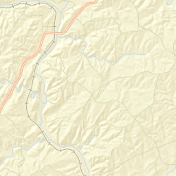 Forester Chapel Alabama Street Map