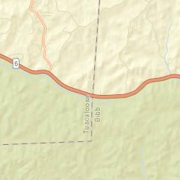 Pearson Alabama Street Map