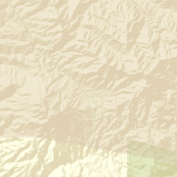 Ellison Place Arizona Street Map