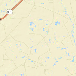 Allendale County Street Map