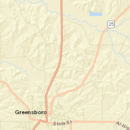 Greensboro Alabama Street Map