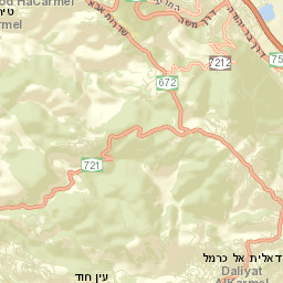Nesher Street Map