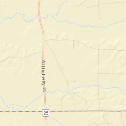 Laneville Alabama Street Map