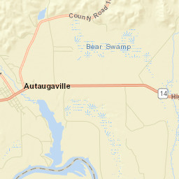 Forester Alabama Street Map