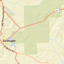 Tuskegee Alabama Street Map