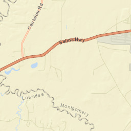 Dannley Pines Alabama Street Map