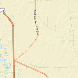 Carters Hill Alabama Street Map