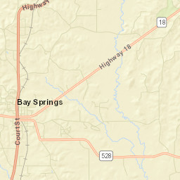 Bay Springs Street Map
