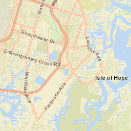 Isle of Hope Street Map