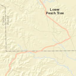 Lower Peach Tree Alabama Street Map