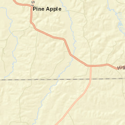 Pine Apple Alabama Street Map