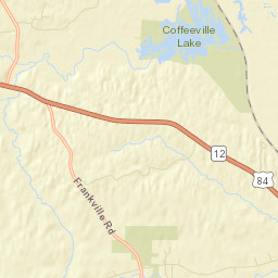 Flatwood Alabama Street Map