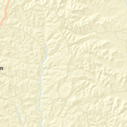 Nettleboro Alabama Street Map